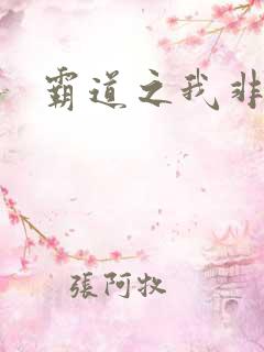 霸道之我非英雄