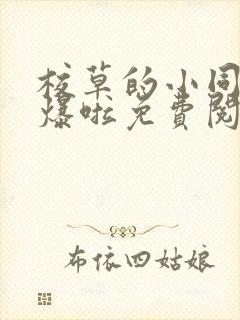 校草的小同桌撩爆啦免费阅读