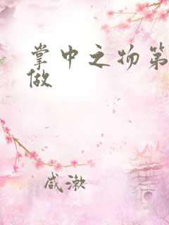 掌中之物第一次做