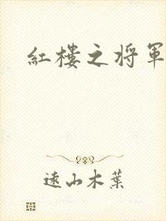 红楼之将军