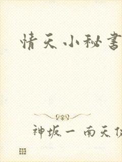 情天小秘书