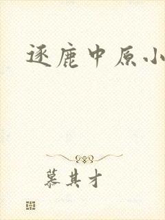 逐鹿中原小说