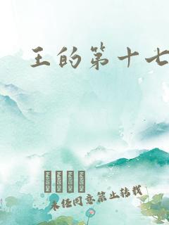王的第十七妾