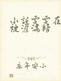 小说雯雯在工地被灌满精