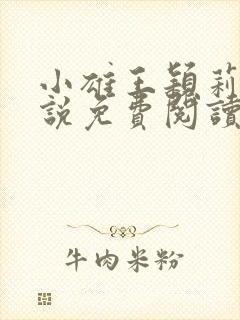 小雄王颖莉的小说免费阅读全文