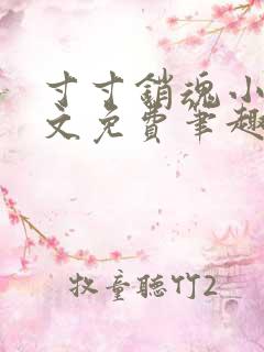 寸寸销魂小说全文免费笔趣阁