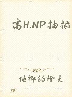 高H.NP抽插