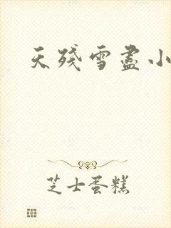 天残雪尽小说