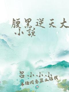 腹黑逆天大小姐 小说