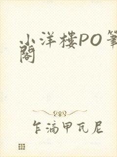 小洋楼PO笔趣阁