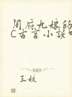 周府九娘的NPC古言小说叫什么