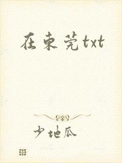 在东莞txt