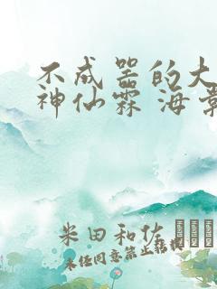 不成器的大哥 神仙霖 海棠