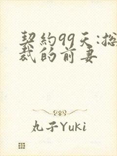 契约99天:总裁的前妻