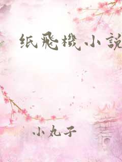 纸飞机小说