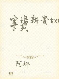 官场新贵txt下载