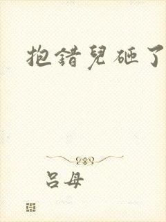 抱错儿砸了