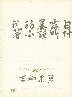 我的暴露日记原著小说叫什么