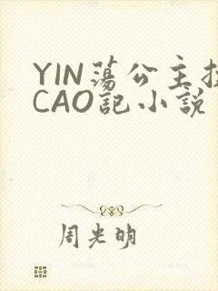 YIN荡公主挨CAO记小说