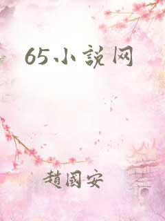 65小说网