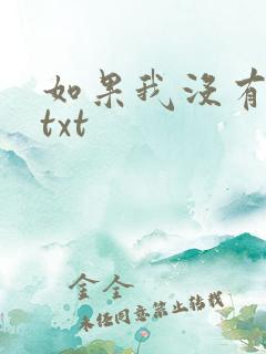如果我没有爱过txt
