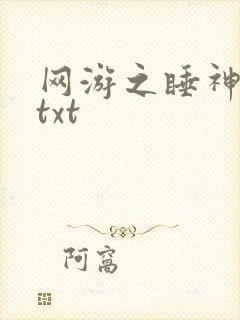 网游之睡神传说txt