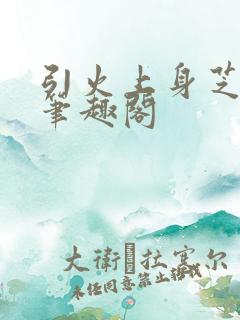 引火上身芝麻糖笔趣阁