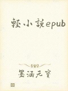 轻小说epub
