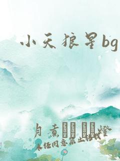 小天狼星bg