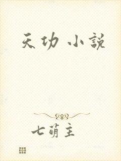 天功 小说