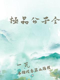 极品公子全集