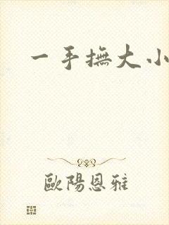 一手抚大小说