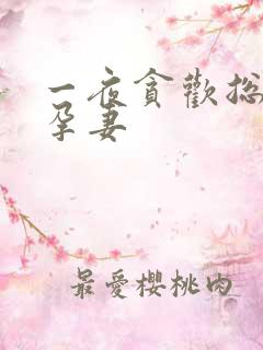 一夜贪欢总裁幸孕妻