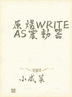 原炀WRITE AS震动器