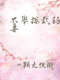 不举总裁的盗种妻