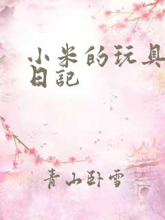 小米的玩具羞辱日记