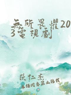 无所畏惧2023电视剧