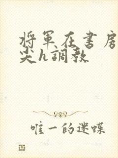 将军在书房含乳尖h调教