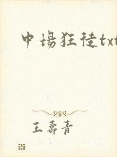 中场狂徒txt