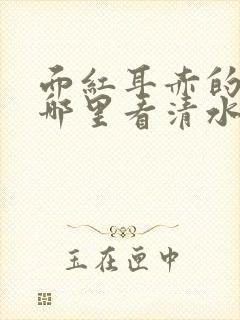 面红耳赤的小说哪里看清水村花