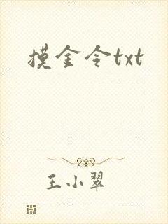 摸金令txt