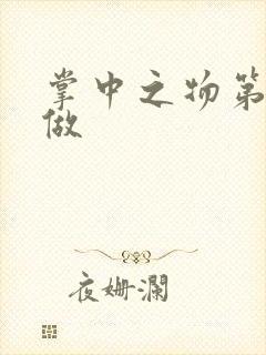 掌中之物第一次做