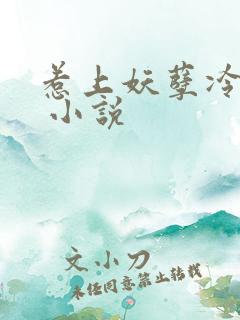 惹上妖孽冷殿下 小说