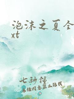 泡沫之夏全集txt