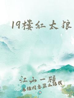 19楼红太狼