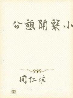 公憩关系小说