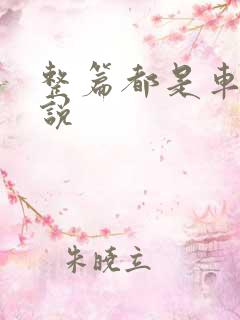 整篇都是车的小说