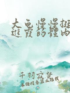 大龟慢慢挺进王进霞的体内