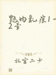 艳肉乱痕1一12章