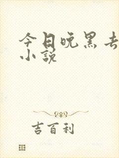 今日晚黑去见你小说